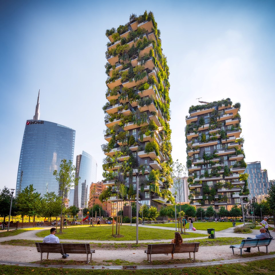 Çevreci binalar ve daha yeşil kentler için 'ağacın izinde' mimari yapılaşma - 1