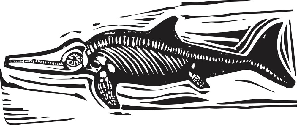 Şili'de 130 milyon yıllık hamile deniz ejderhası fosili bulundu - 8