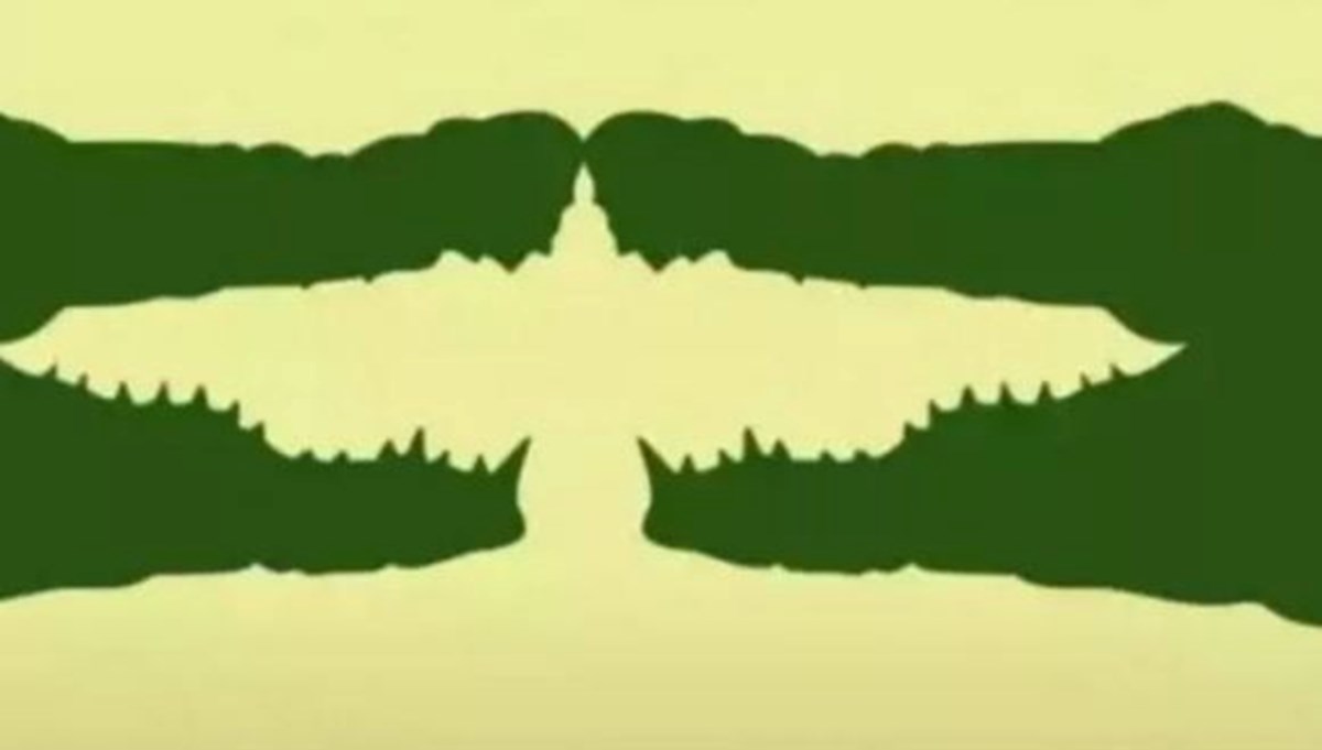 Resimde gördüğünüz ilk şey, kişiliğiniz hakkında bilgi veriyor