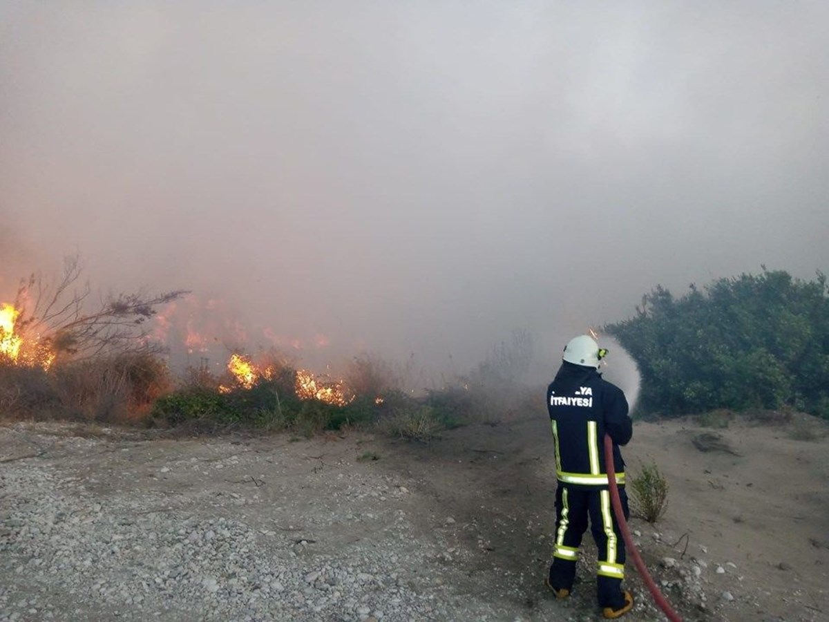 Antalya'da zeytinlik alanda yangın