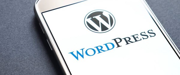 Wordpress'te korkutan güvenlik açığı