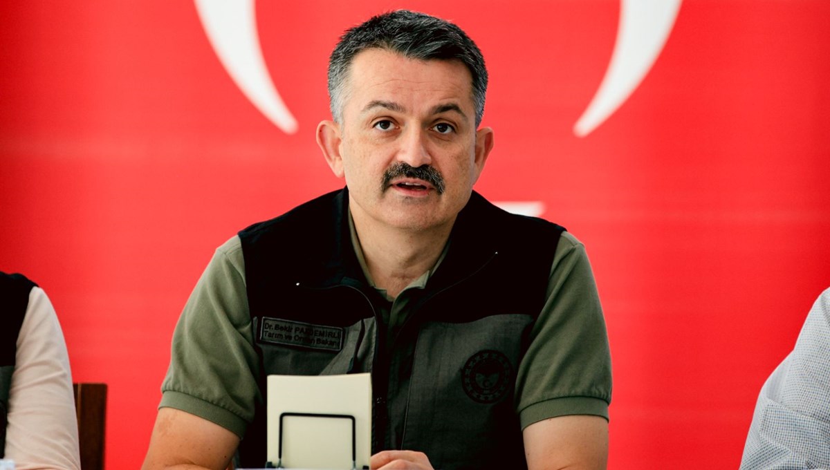Bakan Pakdemirli'den orman yangınlarına ilişkin açıklama