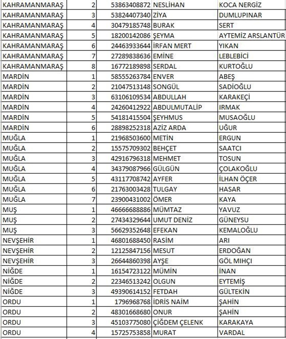 İYİ Parti milletvekili aday listesi açıklandı (İYİ Parti hangi illerde, kaç aday gösterdi?) - 19