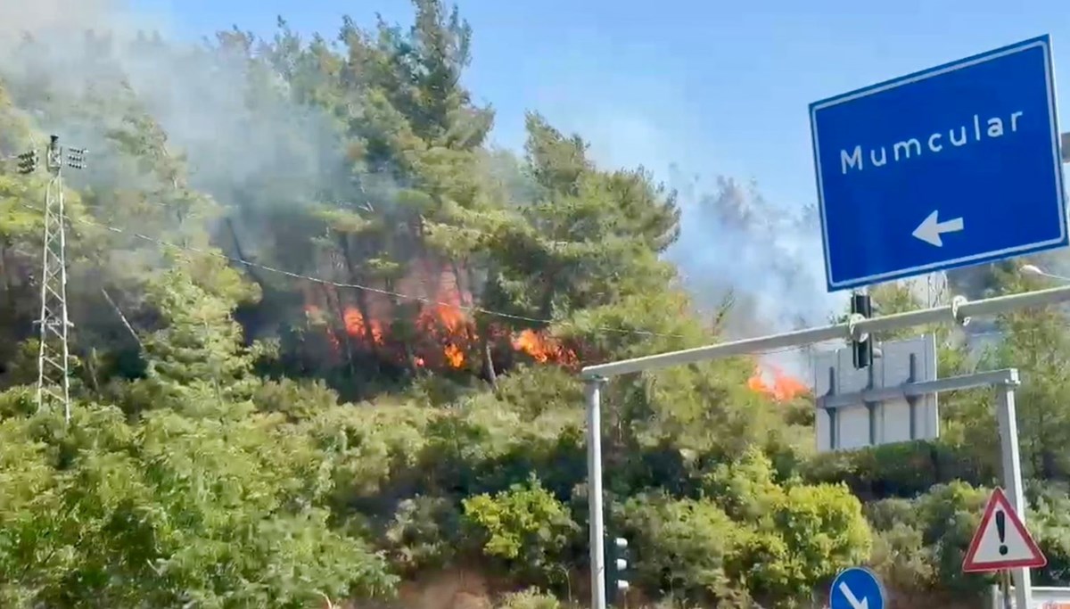 Bodrum orman yangını kontrol altına alındı