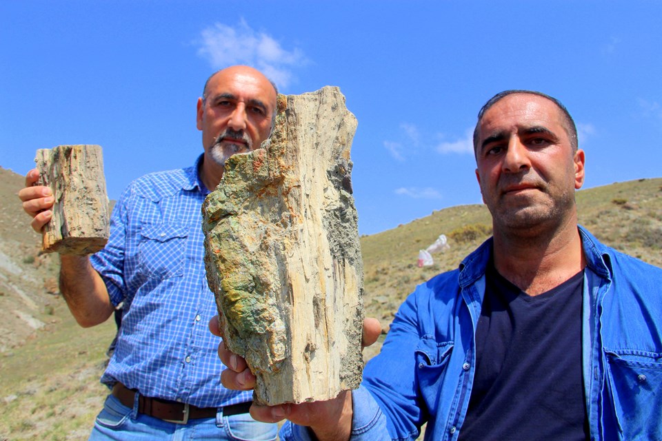 Erzurum’da 160 milyon yıllık keşif: İlk günkü gibi - 1