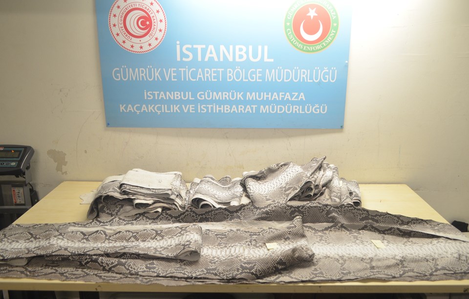 Atatürk Havalimanı'nda 23 yılan derisi ele geçirildi - 1