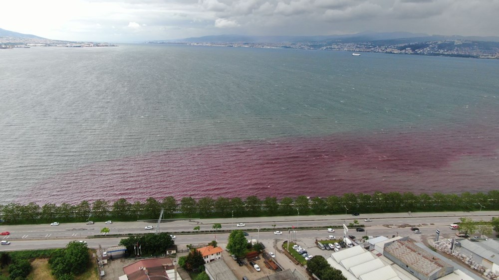 Kocaeli'de Kilez Deresi'ni atık su ile kırmızıya boyayan firmaya ceza - 9