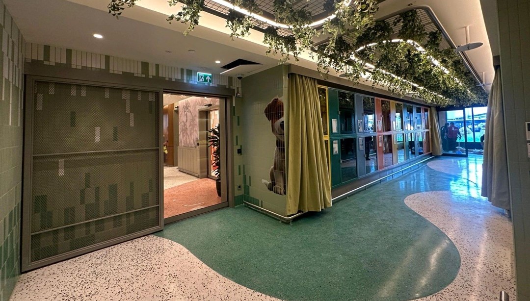 THY'den "Pet Lounge": Evcil hayvanlar için İstanbul Havalimanı'nda özel salon