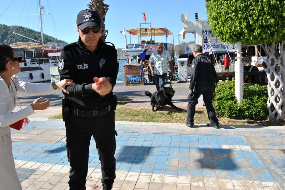 Muğla'da köpek saldırısında bir polis memuru yaralandı - 1
