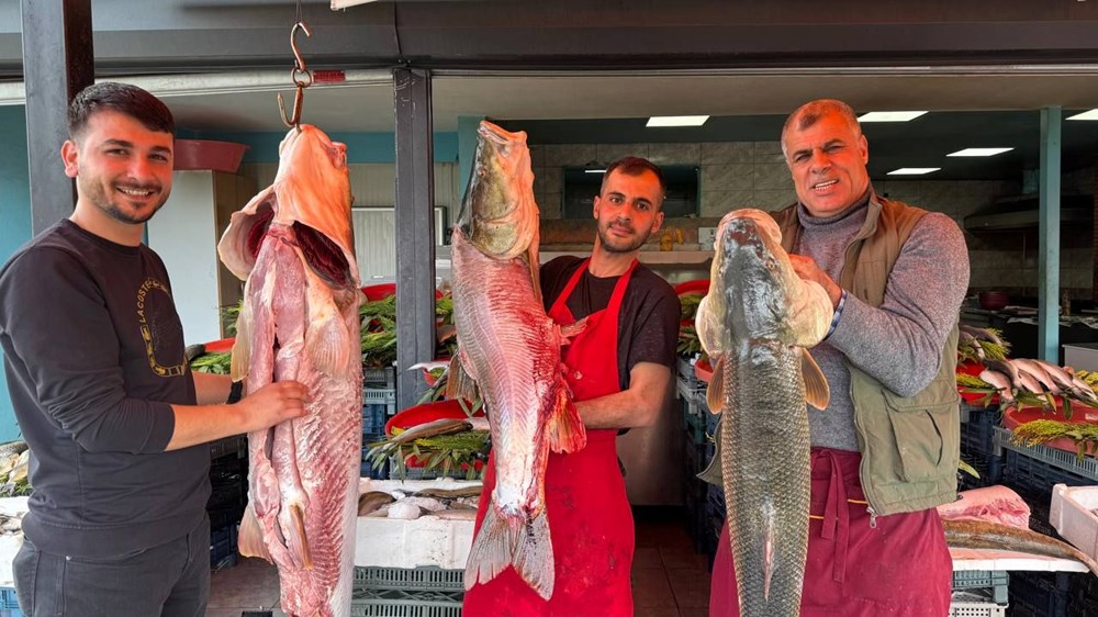 3 Turna Balığı Destanı: Bir Saatte Yok Oldular! 76 IepIp78QbE JpsGBwjnQvw