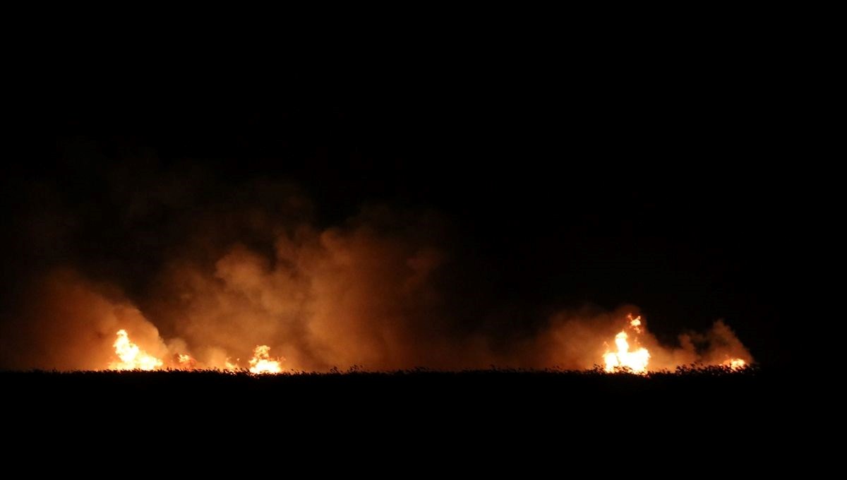 Sultan Sazlığı Milli Parkı'nda yangın