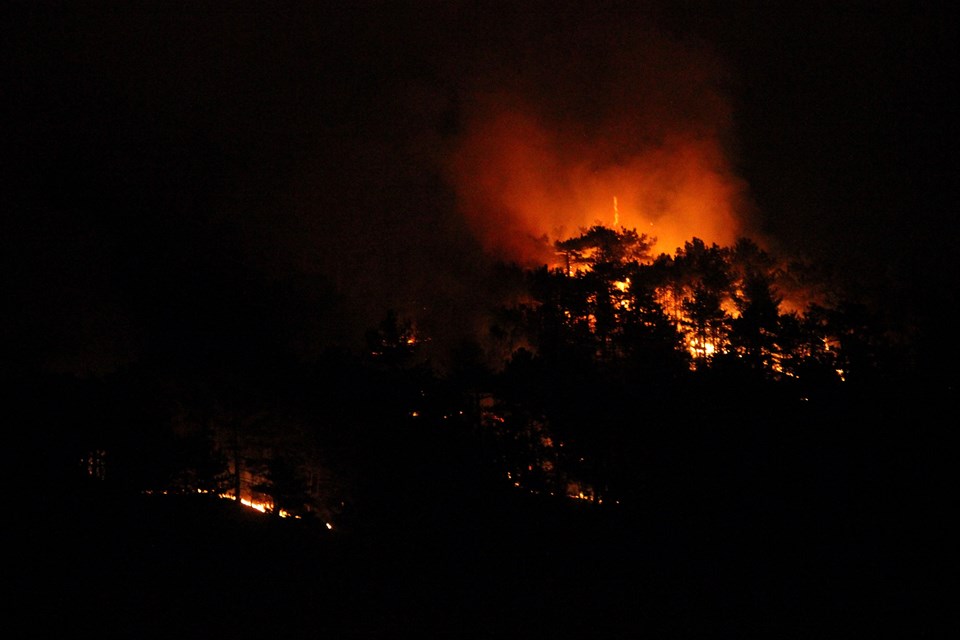 Eskişehir'de orman yangını - 1