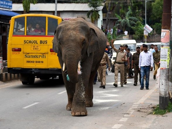 twitter ispanya da asiri sagci vox