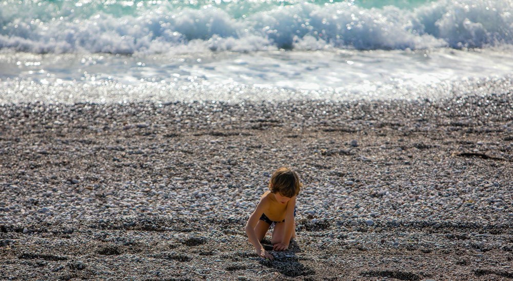 Summer landscapes in the middle of winter - 10