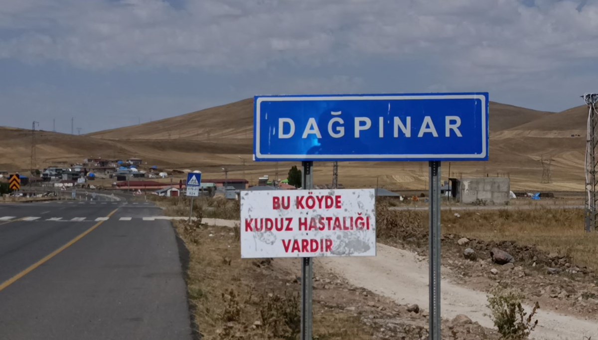 Kars'ta kuduz vakası