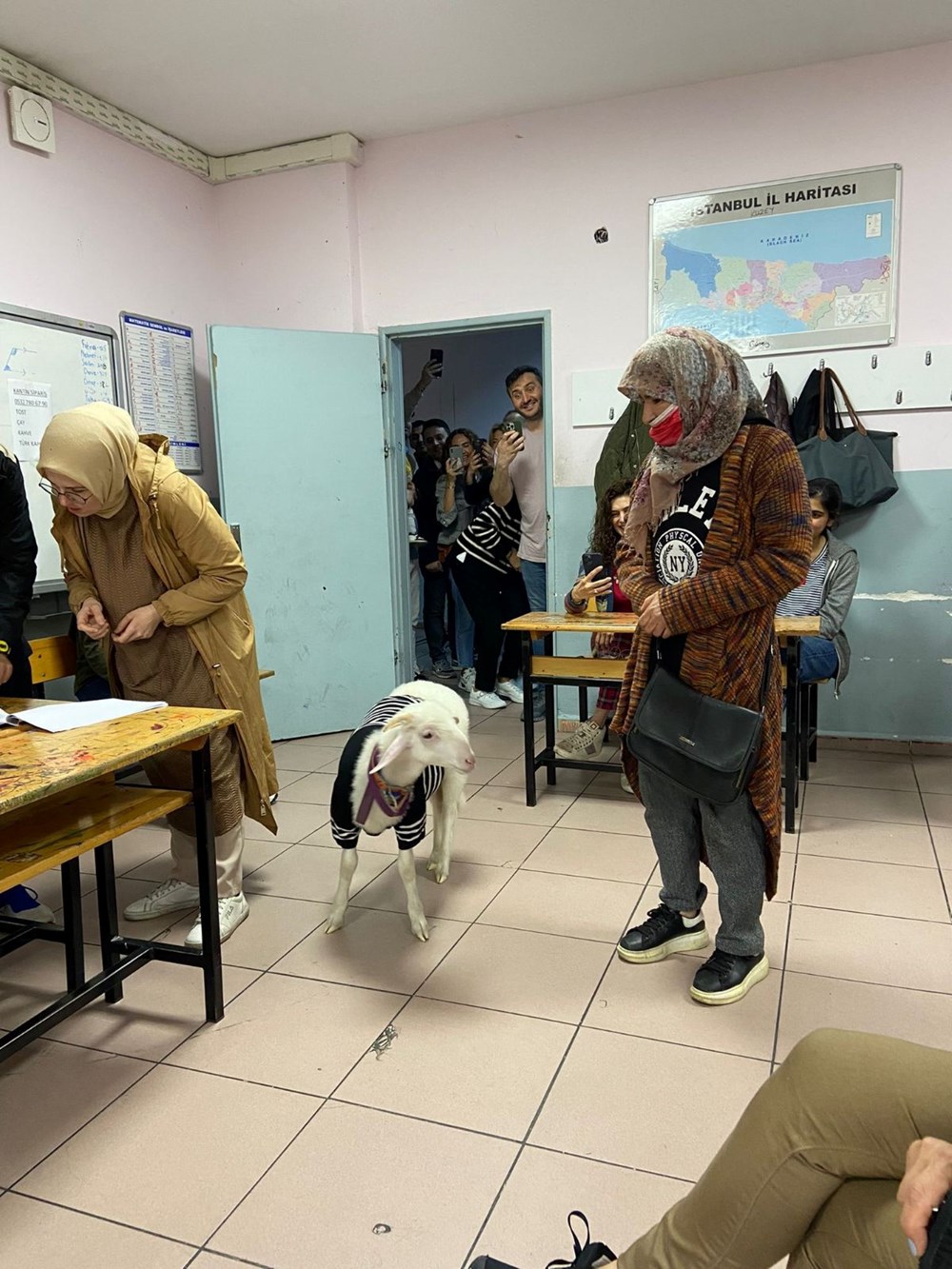 Sandık başından yansıyan ilginç kareler - 7