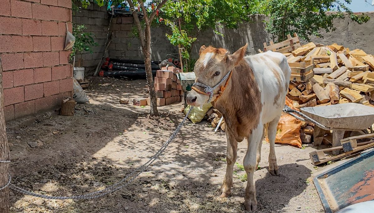 9 ay kaçmayı başardı, kurbana az kala yakalandı