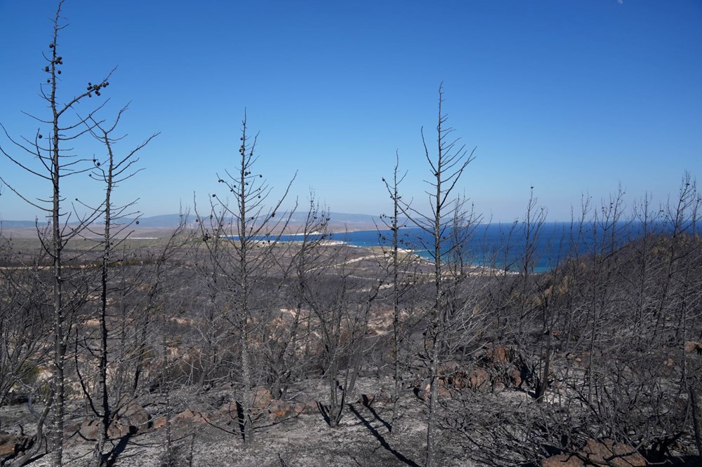 Çeşme'deki orman yangınında 3 kişi hayatını kaybetti: Yangının çıkış nedeni belli oldu - 7