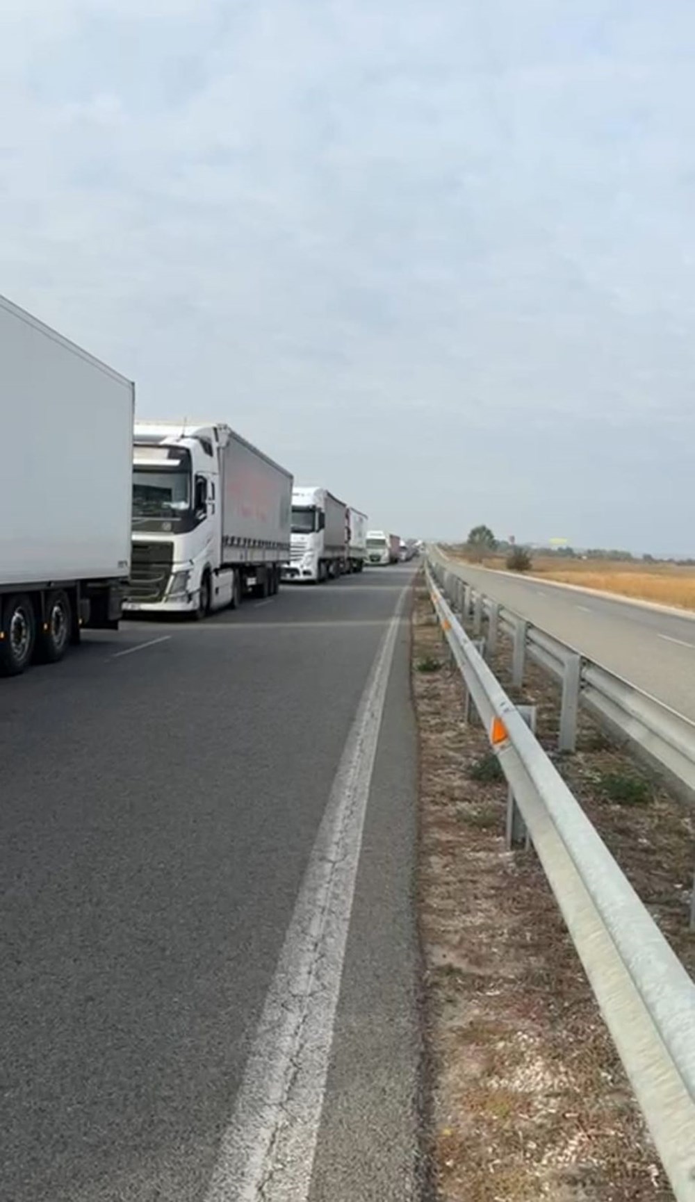 Sınırda 20 gündür süren TIR kuyruğu çilesi - 6