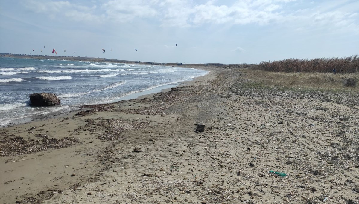 Gökçeada'da caretta caretta yuvasında yavrular bulundu