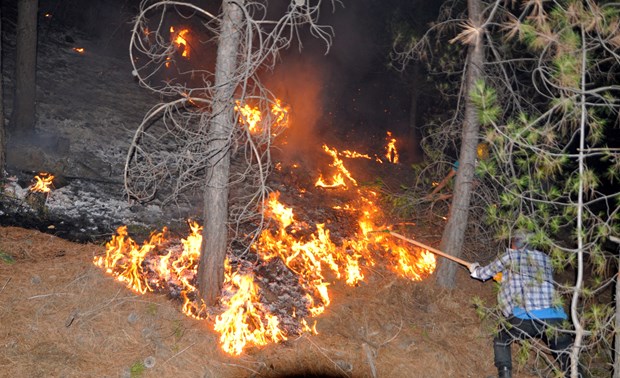 KONTROL ALTINA ALINDI 18 Muğla/Köyceğiz