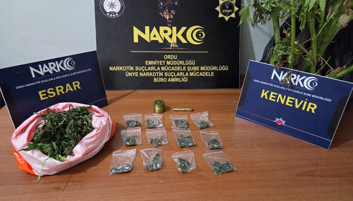 Ordu’da uyuşturucu operasyonu