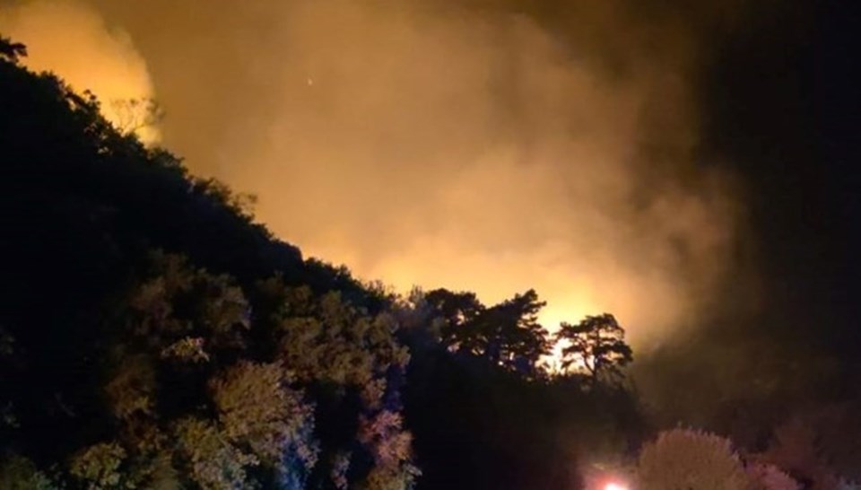Aydın'da çıkan orman yangını kontrol altında: 300 dönüm alan zarar gördü - 1
