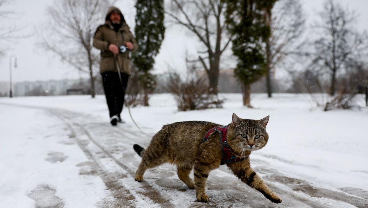 Moskova beyaza büründü: Kar fırtınası şehri esir aldı