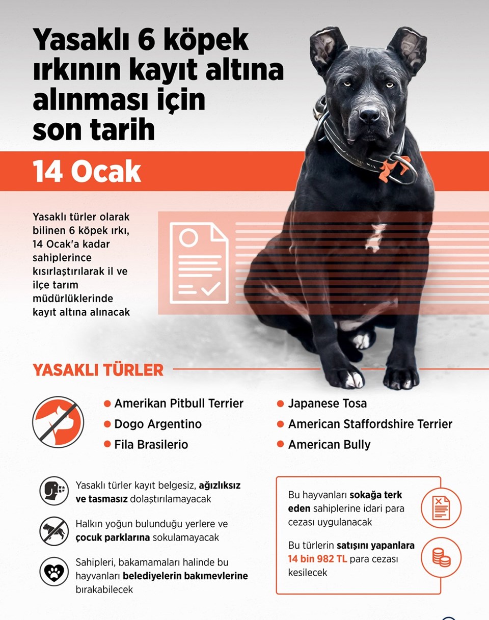 İçişleri Bakanlığı'nın genelgesinde yer alan tehlikeli köpek ırkları