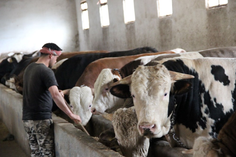 IrGidkevf0Wb orD mV0Aw