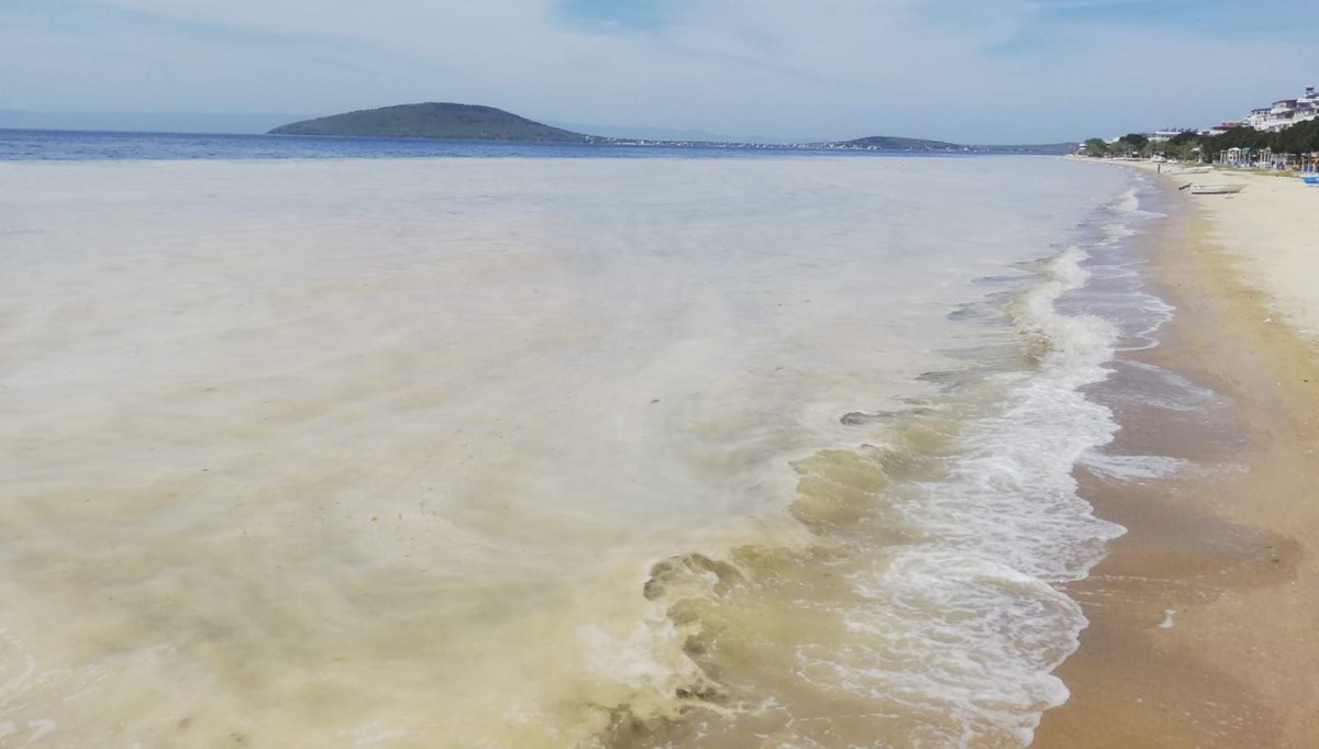 Balıkesir'de Avşa Adası kıyılarını deniz salyası kapladı