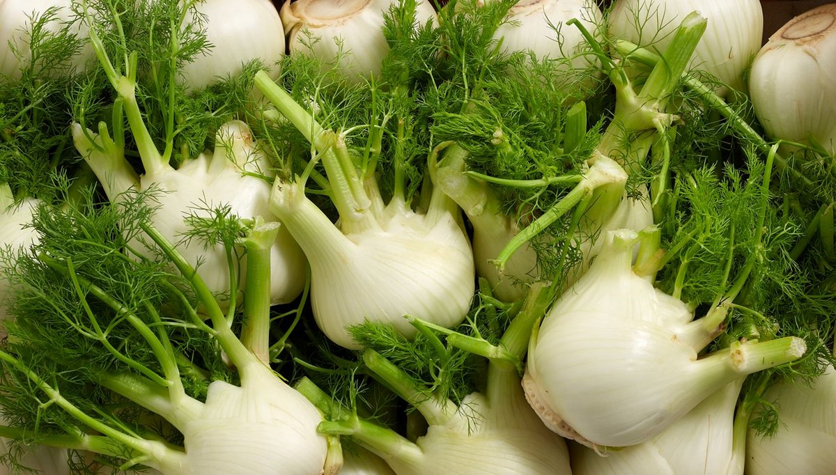 Yüzyıllardır şifa dağıtıyor: Faydalarını bilim insanlarını da kanıtladı, şimdi tam mevsimi