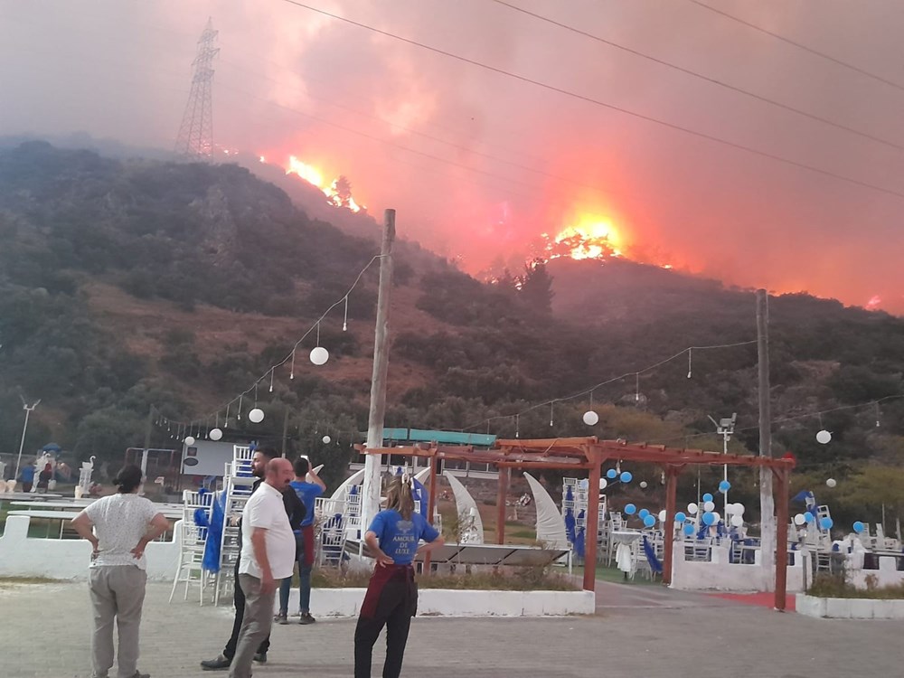 Aydın Söke'de orman yangını - 6