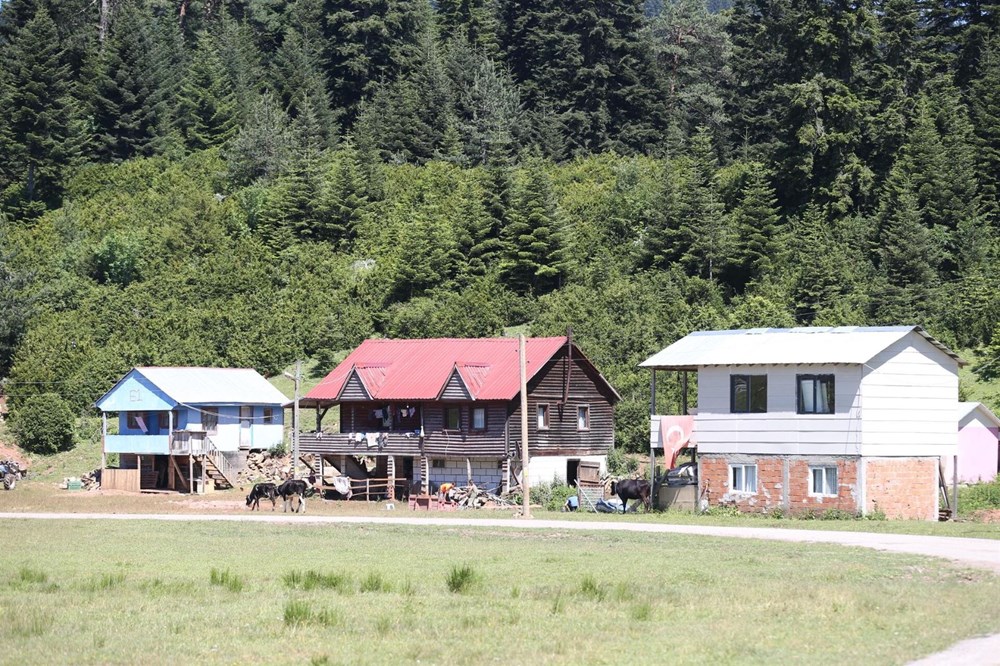 Doğa turizminin gözdesi Sakarya yaylaları - 26