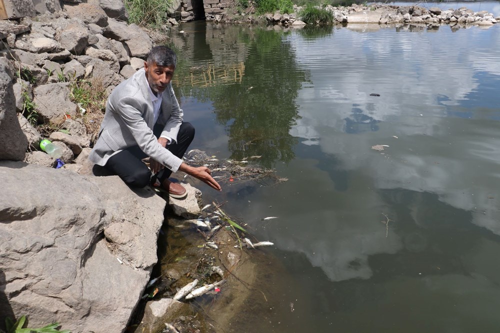 Dicle Nehri'nde korkutan görüntü: Çok sayıda ölü balık tespit edildi! Uzmandan ‘can suyu’ uyarısı - 9