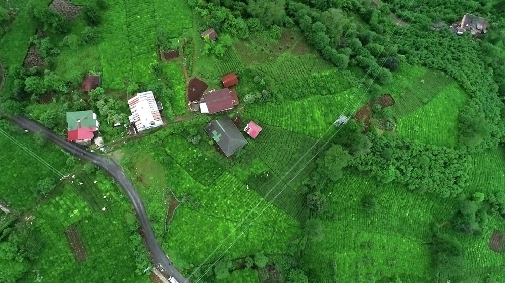 Uzmanlardan Karadeniz'de iklim değişikliği uyarısı: Sel ve heyelanlar artacak - 2