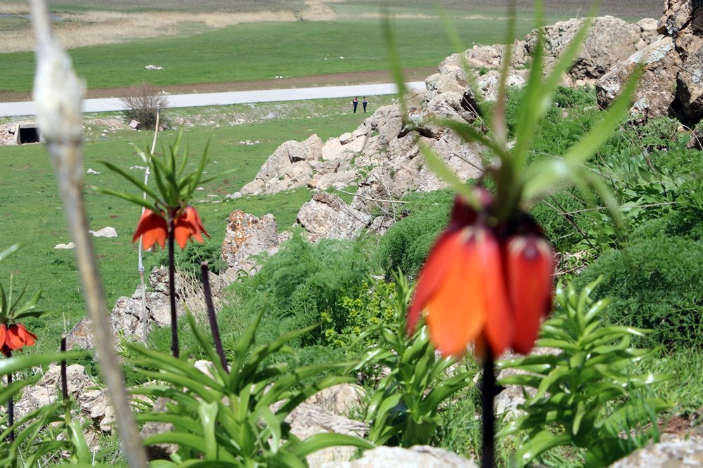 Koparmanın cezası 557 bin lira, jandarmalar koruyor - 4