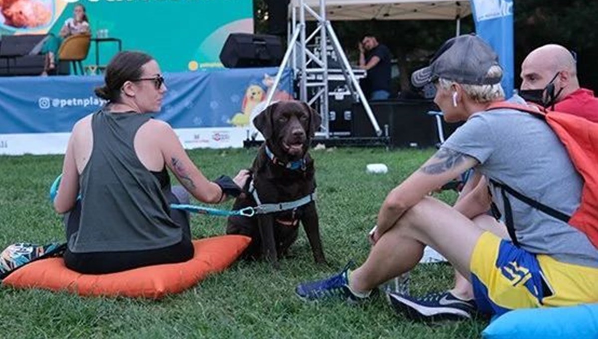 Türkiye’nin Evcil Hayvan ve Yaşam Festivali Pet’N Play başlıyor