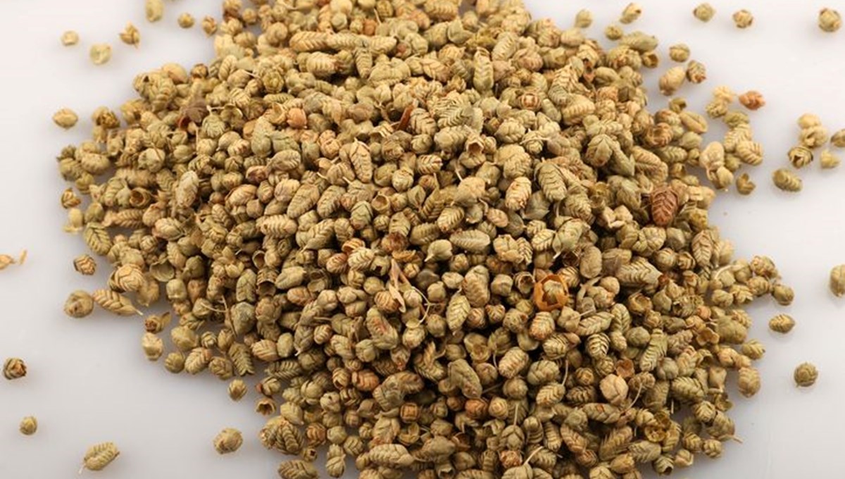 Doğadaki en güçlü mikrop öldürücü! Damarlardaki iltihabı söküyor, vücuttaki enfeksiyonu kırıyor Doğadaki en güçlü mikrop öldürücü! Damarlardaki iltihabı söküyor, vücuttaki enfeksiyonu kırıyor