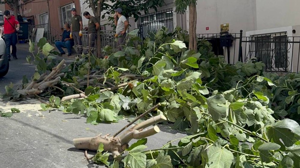 İstanbul'u fırtına vurdu: Ağaçlar devrildi, iki kişi yaralandı - 2