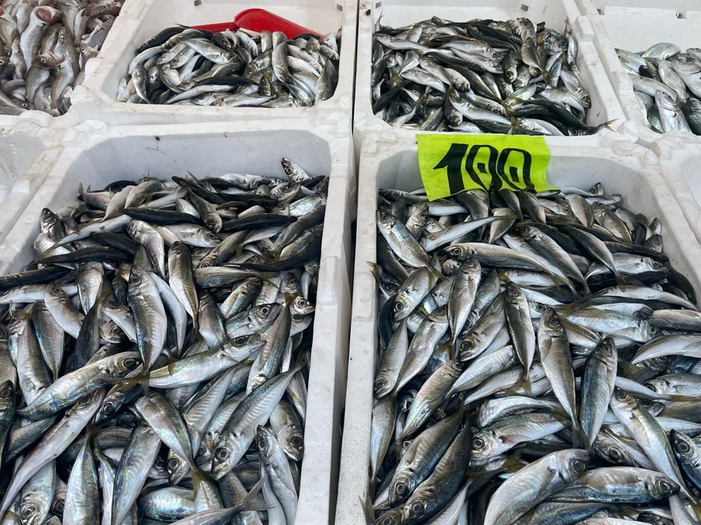 10 Tonluk Bereket: Balıkçıdan İhtiyaç Sahiplerine Uzanan Yardım Eli 73 J03zAftOPkmeBsH3FKzkgA