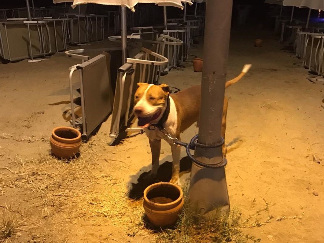 elektrik sayaci okuyan gorevliye