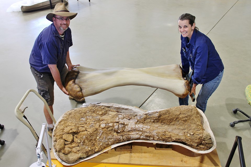 Dünyanın en büyük dinozorlarından biri keşfedildi: Boyu yaklaşık 30 metre, ağırlığı 67 ton - 1