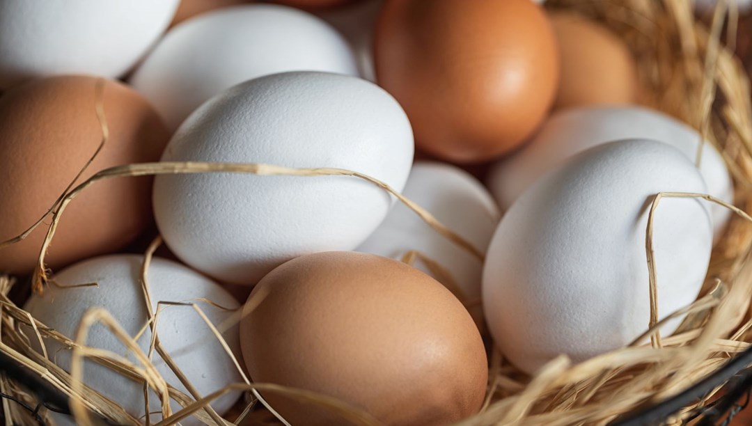 Kahverengi yumurta mı daha faydalı beyaz yumurta mı? Fiyatını rengi belirliyor