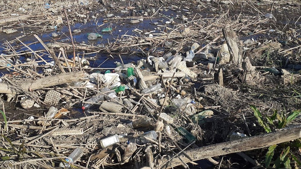 Büyük Menderes Nehri çöplüğe döndü - 2