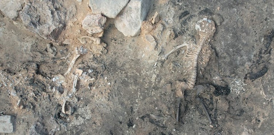 Kütahya'daki höyükte 3 bin 700 yıllık beyin ve deri kalıntıları bulundu - 5