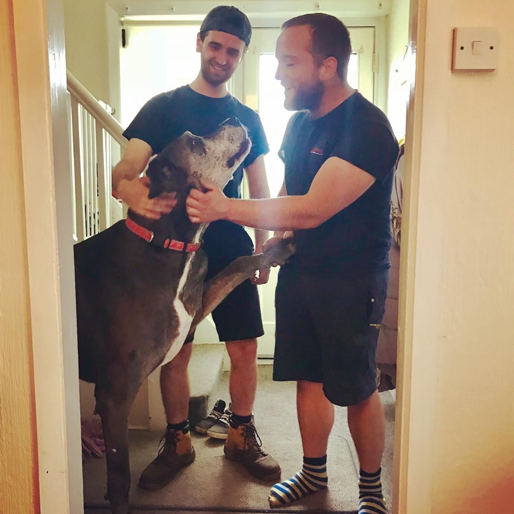 Dünyanın en uzun köpeği Freddy hayatını kaybetti - 19