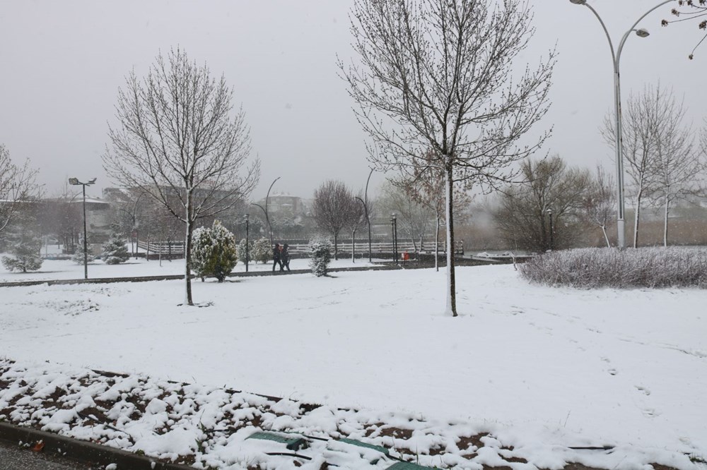 Ankara'da termometreler -9 dereceyi gösterdi: Kuğulu Park'ın havuzları dondu - 5