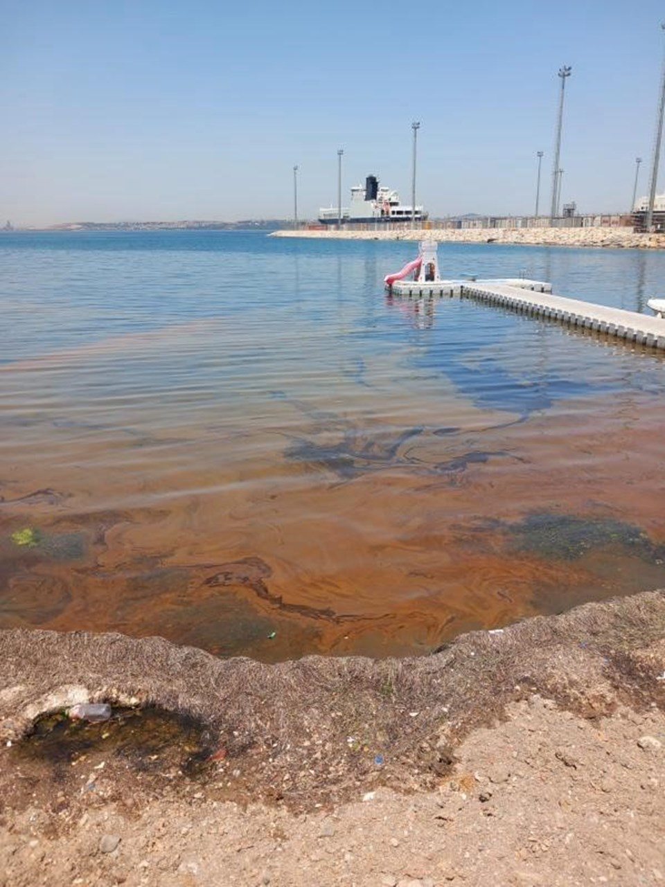 Yalova'da deniz kirliliği: Fabrikaya inceleme başlatıldı - 1