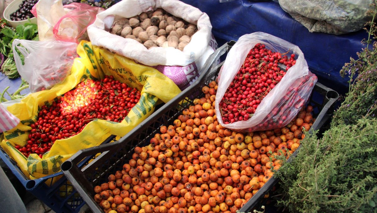 Dikenli ağaçtan tek tek zahmetle toplanıyor: Pazara indi